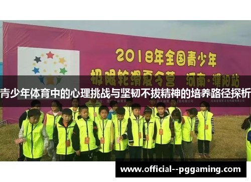 青少年体育中的心理挑战与坚韧不拔精神的培养路径探析