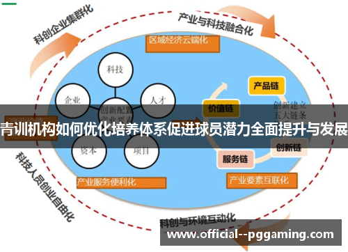 青训机构如何优化培养体系促进球员潜力全面提升与发展