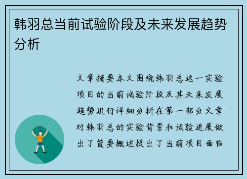 韩羽总当前试验阶段及未来发展趋势分析