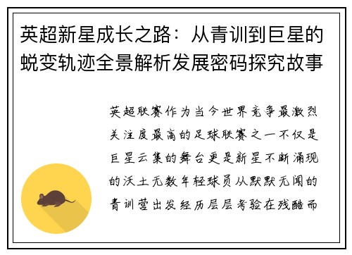 英超新星成长之路：从青训到巨星的蜕变轨迹全景解析发展密码探究故事